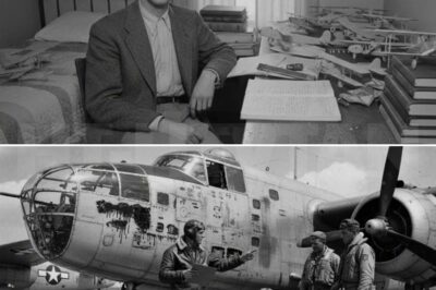 CH2.    They Mocked the “Bookworm Pilot” — Until His Calculated Trick Confused 6 Enemy Fighters…     Six Japanese fighters circle above.