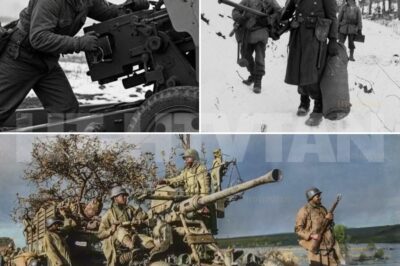 CH2 . This 19-Year-Old Should’ve Been Court-Martialed — But Accidentally Saved Two Battalions…    In just 90 seconds, Mitchell would make a catastrophic mistake, violating every rule, firing at the wrong target. And that mistake would save over 2,000 American soldiers and rewrite the way the US Army understood anti-aircraft warfare.