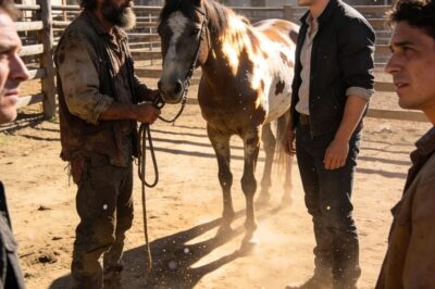 A MILLIONAIRE GAVE A USELESS HORSE AS A JOKE, BUT HE BITTERLY REGRETTED IT. Once upon a time, in a small town where laughter came easily and life was simple, there lived a man who believed money could buy anything. His name was Arnaldo Montiel, a young millionaire known for his arrogance and his desire to show off his power.