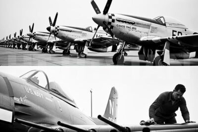 CH2 .WWII’s Fastest Fighter Aircraft — Which Plane Was the True King of Speed? For nearly eighty years, one question has refused to die.