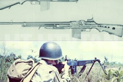 CH2 . Japanese Soldiers Couldn’t Believe One BAR Burst Cut Down An Entire Cave Squad…  November 20th, 1943. 06 23 hours. Red Beach 2, Betio Island,