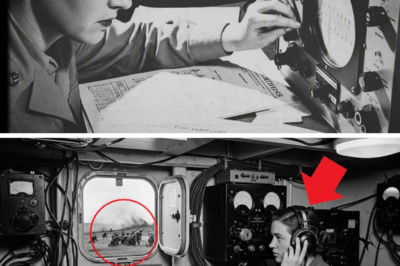 CH2 How One Woman Used a 0.16-Second Echo to Collapse a 4,200-Man Japanese Tunnel Fortress