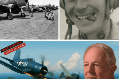 CH2 They Told Him Never Dogfight a Zero – He Did It Anyway And…