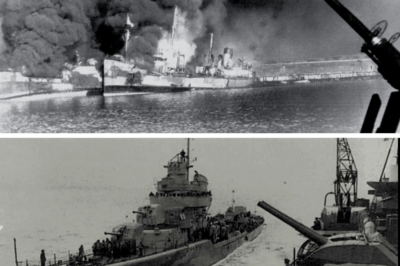 CH2 DE@TH FROM THE LANDWARD SIDE: The Night Nine British Torpedo Boats STRUCK FROM BEHIND and Shattered a German Convoy’s Illusion of Safety