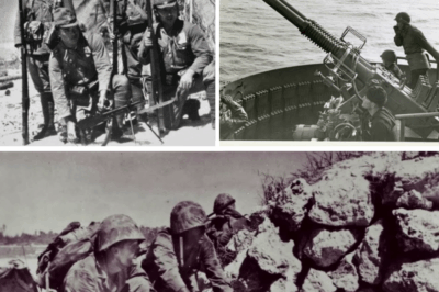 CH2 Japanese Snipers Were Terrified When They Realized U.S. Marines Can Do This With The 40mm Cannons