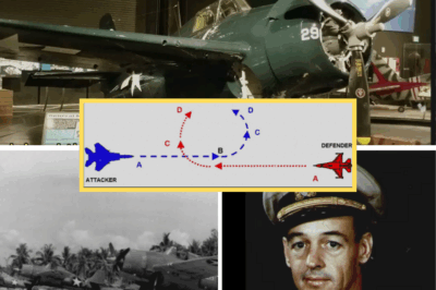 CH2 How One Commander’s “Matchstick” Trick Made 4 Wildcats Destroy Zeros They Couldn’t Outfly