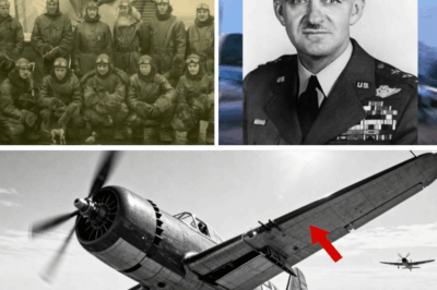 CH2 How One Pilot’s “Forbidden” Flap Setting Made Thunderbolts Climb Faster Than Fw 190s