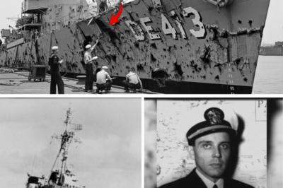CH2 When Yamato Attacked This TINY Ship — What 4 Sailors Did Shocked the Entire Japanese Fleet