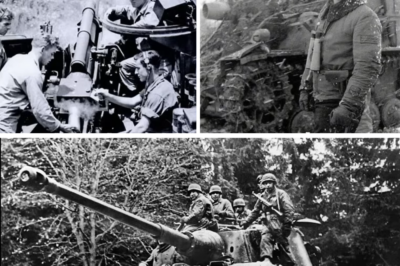 CH2 German Panzer Crews Were Shocked When One ‘Invisible’ Gun Erased Their Entire Column