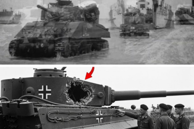 CH2 Germans Couldn’t Stop This “Unkillable” Commander — How He Destroyed 18 Tanks and Became Top Ace
