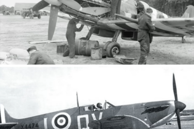 CH2  How One Engineer’s “Stupid” Twin-Propeller Design Turned the Spitfire Into a 470 MPH Monster