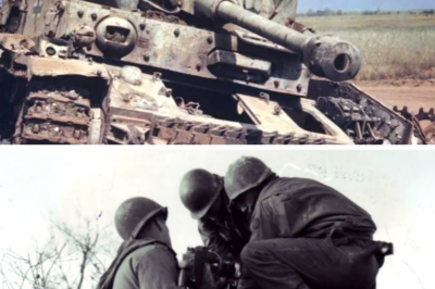 CH2 How a US Captain’s ‘Trench Trick’ Ki11ed 41 Germans in 47 Minutes and Saved His Brother In Arms