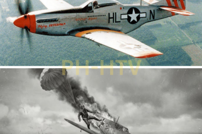 ch2-ha-German Pilots Laughed at the P-51D, Until Its Six .50 Cals Fired 1,200 Rounds in 15 Seconds