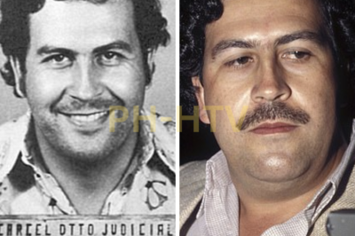 ch2-ha-DEA agents behind hit Netflix show Narcos reveal what they found in ‘neat-freak’ Pablo Escobar’s secret lair as they release new book